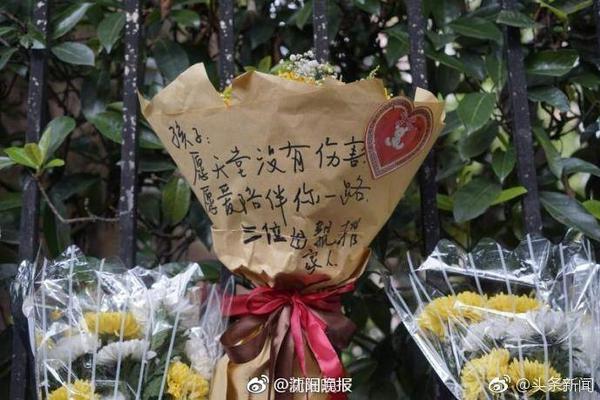帕金斯：比尔是个不错的补强 但他不是那种可以改变局势的球员